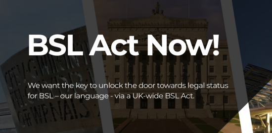Image shows white text on a dark background. The text reads 'BSL Act Now'