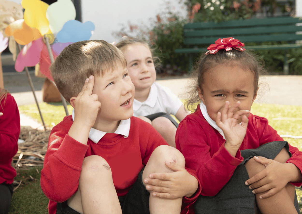 Bringing British Sign Language into school classrooms Signature